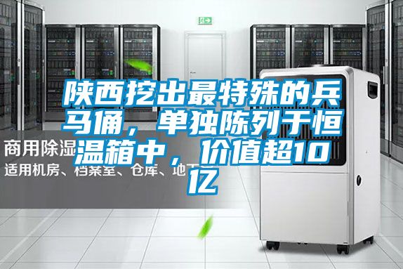 陕西挖出最特殊的兵马俑，单独陈列于恒温箱中，价值超10亿