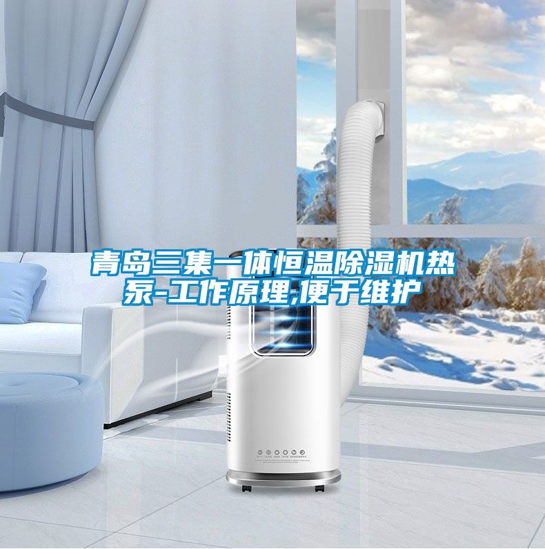 青岛三集一体恒温草莓视频APP在线观看热泵-工作原理,便于维护