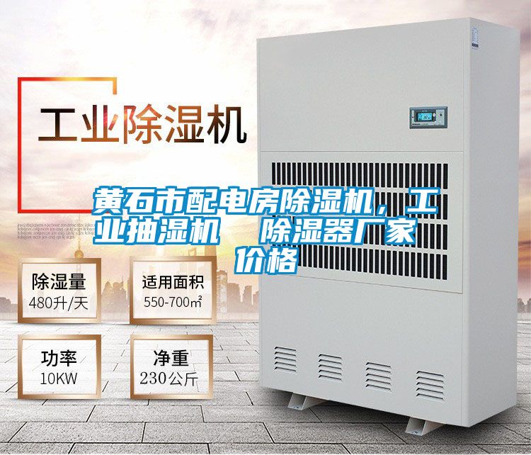 黄石市配电房草莓视频APP在线观看，工业抽湿机  除湿器厂家 价格