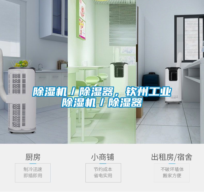 草莓视频APP在线观看／除湿器，钦州工业草莓视频APP在线观看／除湿器