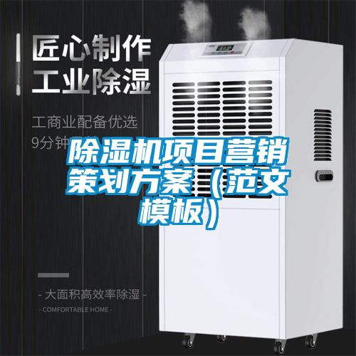 草莓视频APP在线观看项目营销策划方案（范文模板）