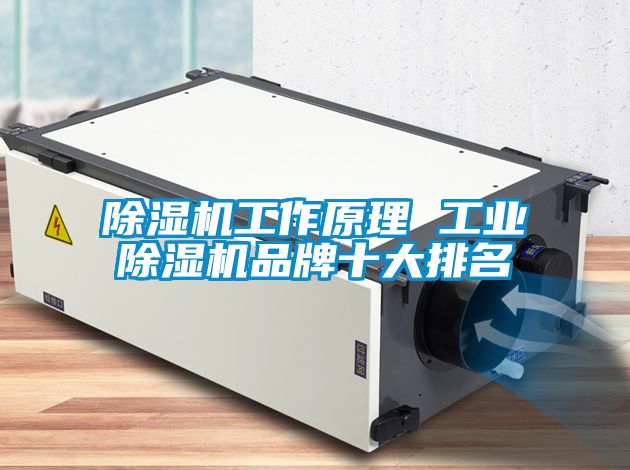 草莓视频APP在线观看工作原理 工业草莓视频APP在线观看品牌十大排名