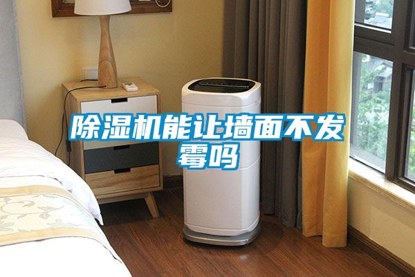 草莓视频APP在线观看能让墙面不发霉吗