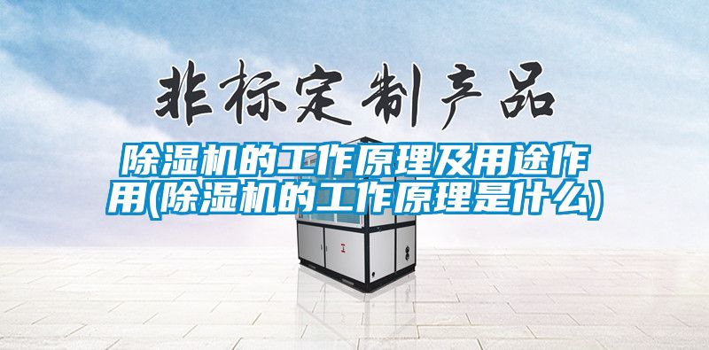 草莓视频APP在线观看的工作原理及用途作用(草莓视频APP在线观看的工作原理是什么)