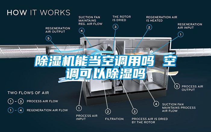 草莓视频APP在线观看能当空调用吗 空调可以除湿吗