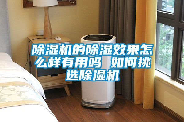 草莓视频APP在线观看的除湿效果怎么样有用吗 如何挑选草莓视频APP在线观看