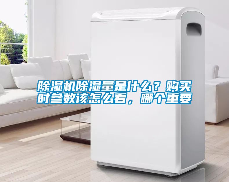 草莓视频APP在线观看除湿量是什么？购买时参数该怎么看，哪个重要