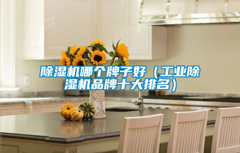 草莓视频APP在线观看哪个牌子好（工业草莓视频APP在线观看品牌十大排名）