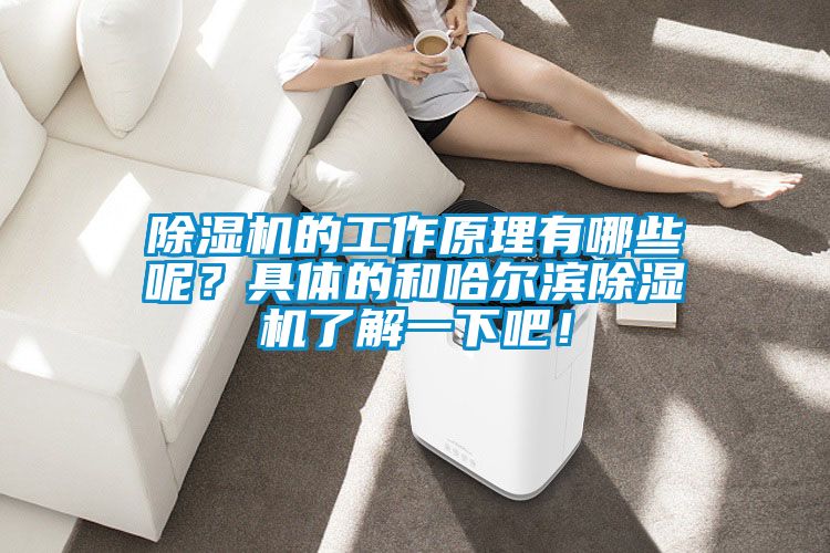 草莓视频APP在线观看的工作原理有哪些呢？具体的和哈尔滨草莓视频APP在线观看了解一下吧！