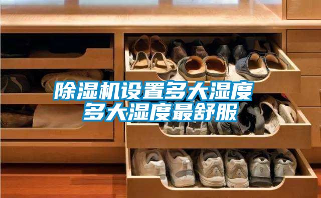 草莓视频APP在线观看设置多大湿度 多大湿度最舒服