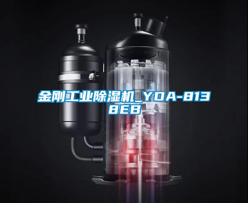 金刚工业草莓视频APP在线观看_YDA-8138EB