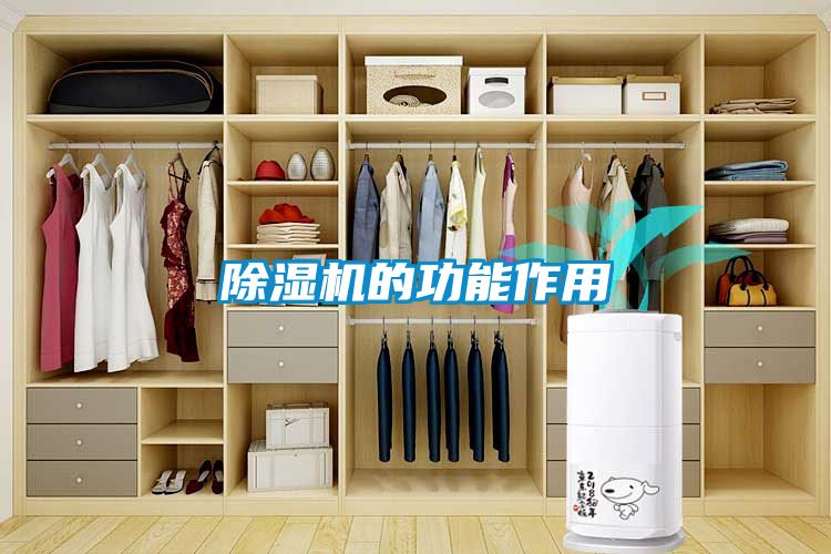 草莓视频APP在线观看的功能作用