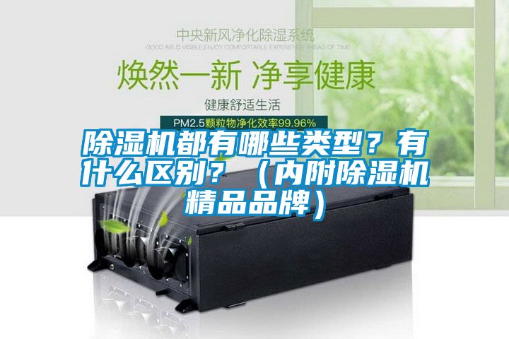 草莓视频APP在线观看都有哪些类型？有什么区别？（内附草莓视频APP在线观看精品品牌）