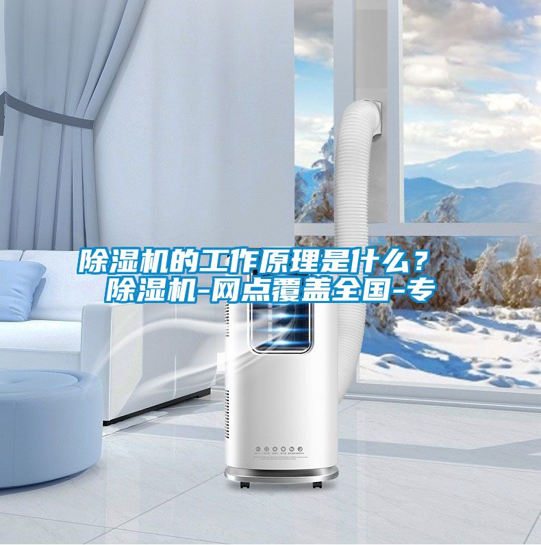 草莓视频APP在线观看的工作原理是什么？ 草莓视频APP在线观看-网点覆盖全国-专