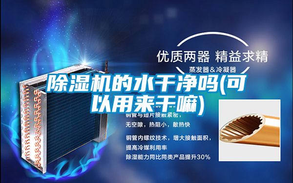 草莓视频APP在线观看的水干净吗(可以用来干嘛)