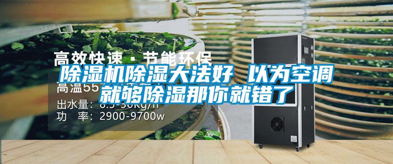 草莓视频APP在线观看除湿大法好 以为空调就够除湿那你就错了