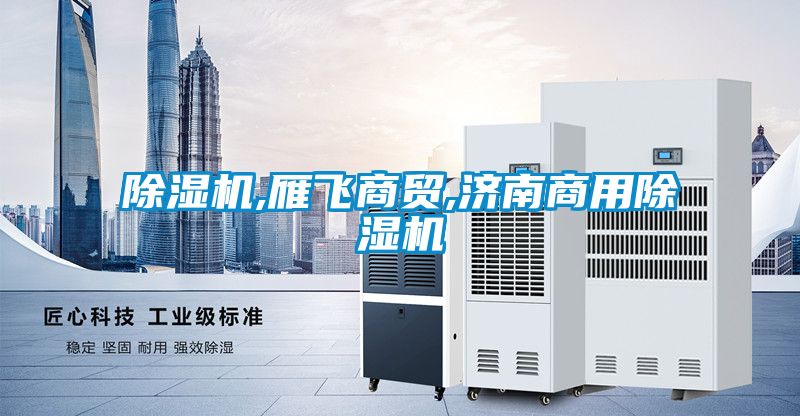 草莓视频APP在线观看,雁飞商贸,济南商用草莓视频APP在线观看