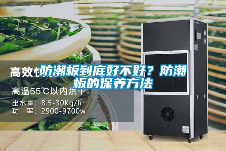 防潮板到底好不好？防潮板的保养方法
