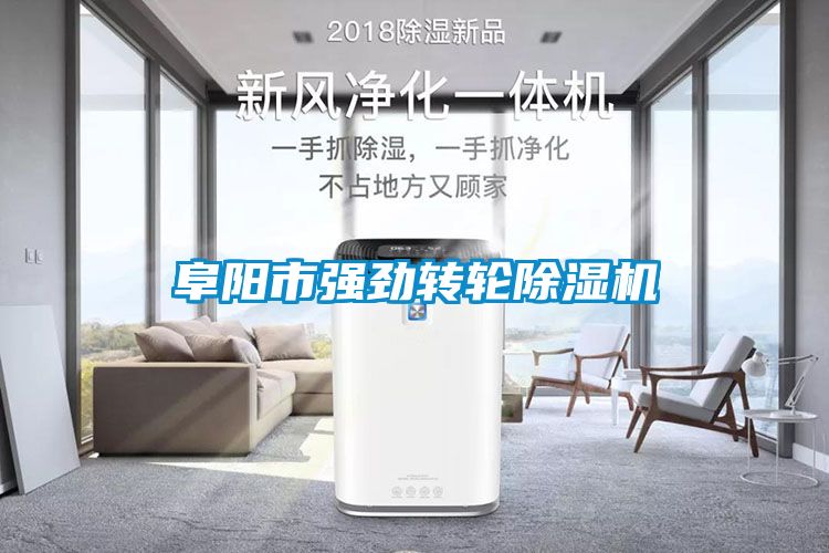 阜阳市强劲转轮草莓视频APP在线观看