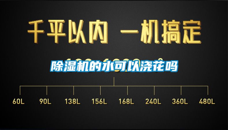 草莓视频APP在线观看的水可以浇花吗