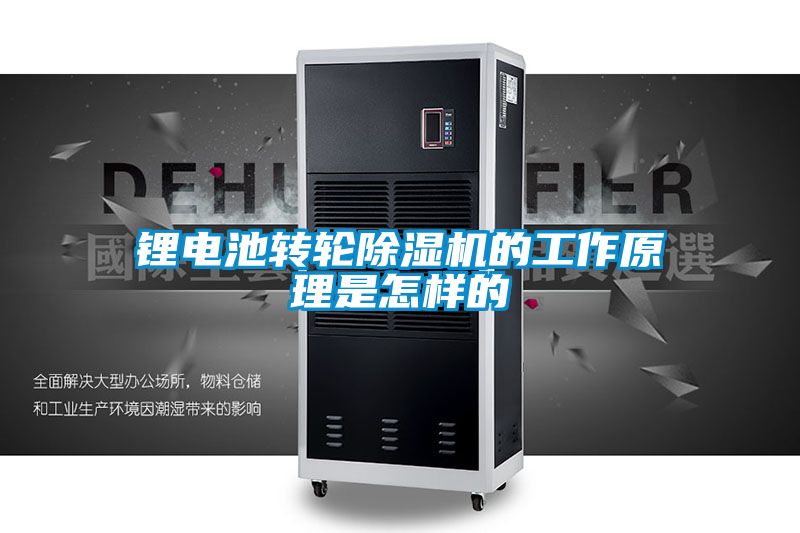锂电池转轮草莓视频APP在线观看的工作原理是怎样的