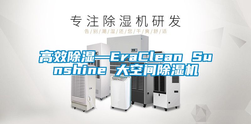 高效除湿—EraClean Sunshine 大空间草莓视频APP在线观看