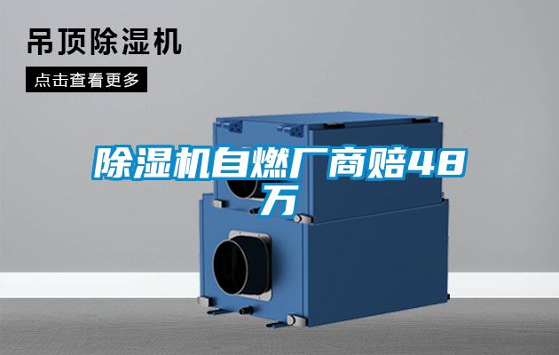 草莓视频APP在线观看自燃厂商赔48万