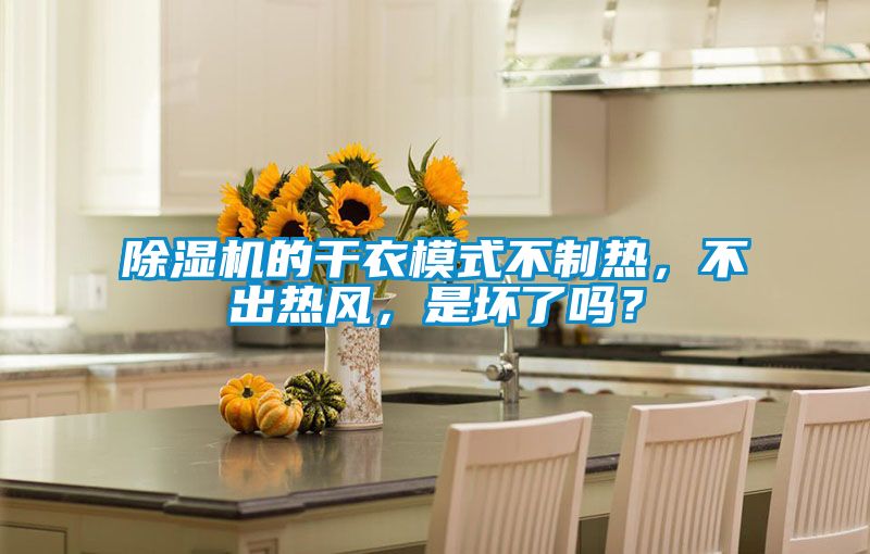 草莓视频APP在线观看的干衣模式不制热，不出热风，是坏了吗？