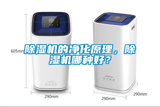 草莓视频APP在线观看的净化原理，草莓视频APP在线观看哪种好？