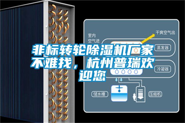 非标转轮草莓视频APP在线观看厂家不难找，杭州普瑞欢迎您