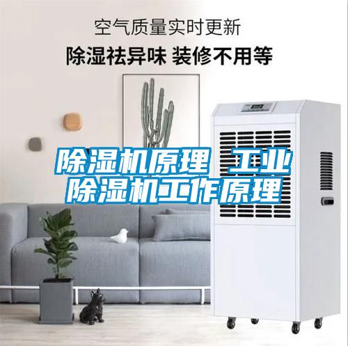草莓视频APP在线观看原理 工业草莓视频APP在线观看工作原理
