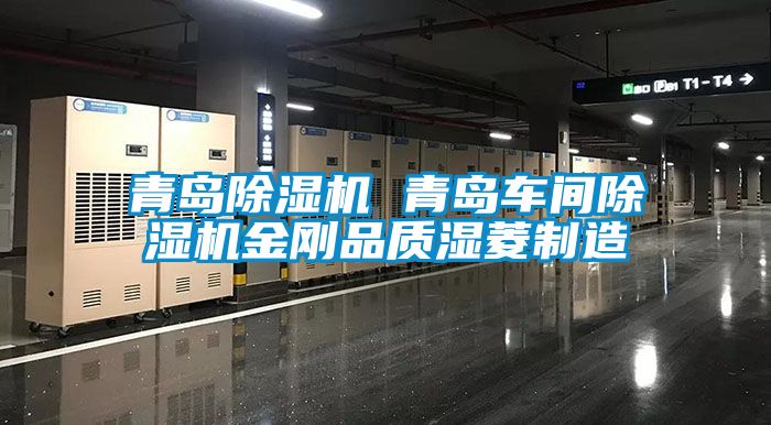 青岛草莓视频APP在线观看 青岛车间草莓视频APP在线观看金刚品质湿菱制造