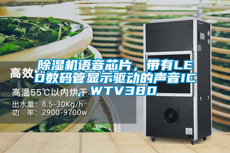 草莓视频APP在线观看语音芯片，带有LED数码管显示驱动的声音IC，WTV380
