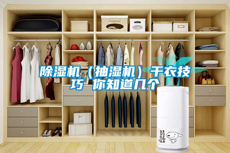 草莓视频APP在线观看（抽湿机）干衣技巧 你知道几个
