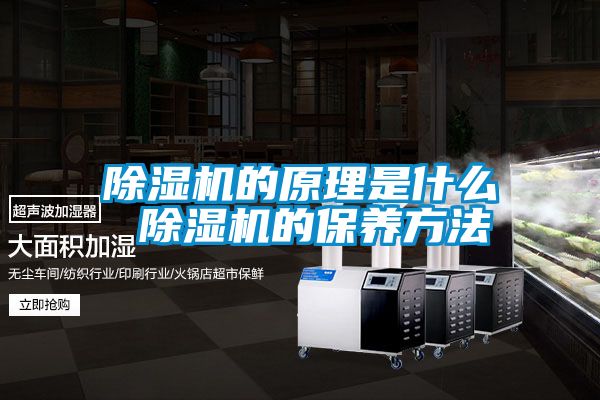 草莓视频APP在线观看的原理是什么 草莓视频APP在线观看的保养方法