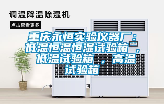 重庆永恒实验仪器厂：低温恒温恒湿试验箱 , 低温试验箱 , 高温试验箱