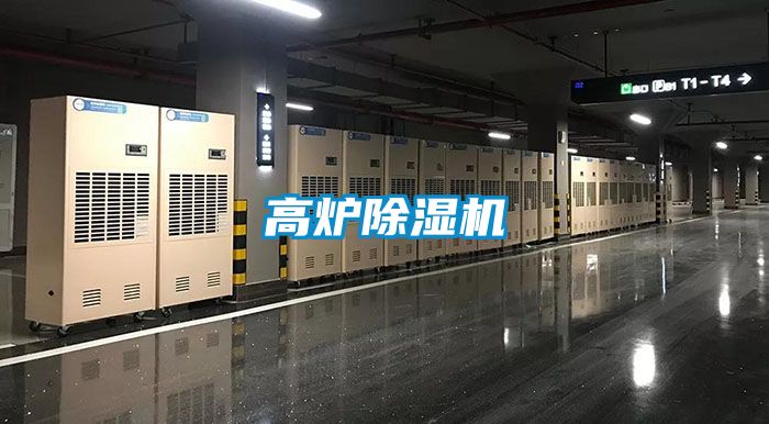 高炉草莓视频APP在线观看