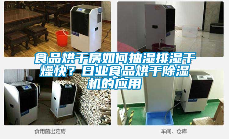 食品烘干房如何抽湿排湿干燥快？日业食品烘干草莓视频APP在线观看的应用