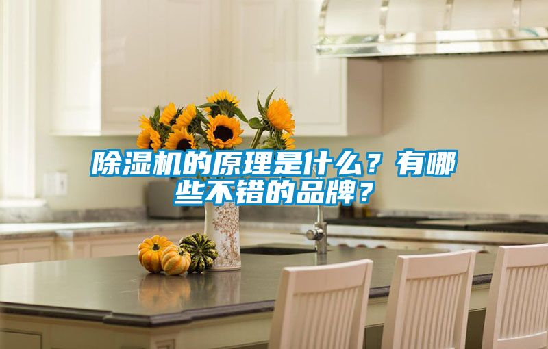 草莓视频APP在线观看的原理是什么？有哪些不错的品牌？