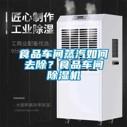 食品车间蒸汽如何去除？食品车间草莓视频APP在线观看