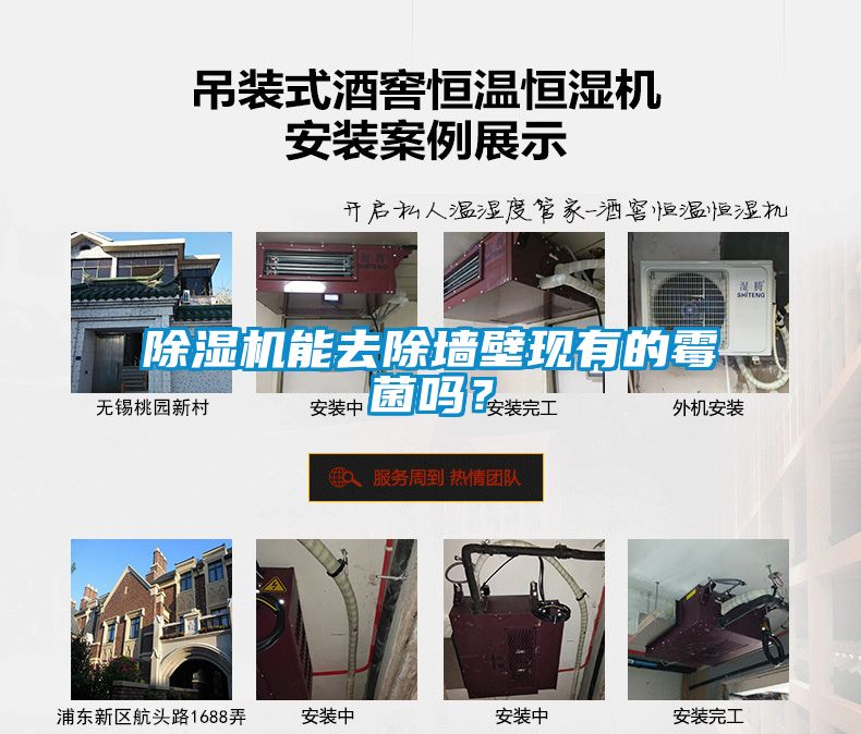 草莓视频APP在线观看能去除墙壁现有的霉菌吗？