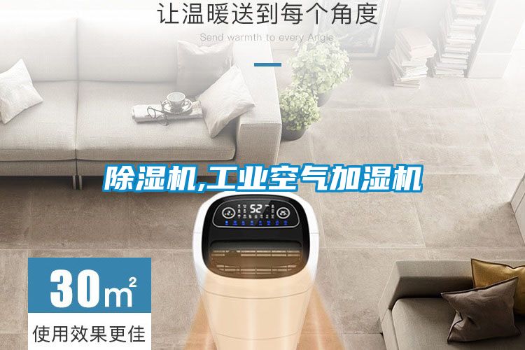 草莓视频APP在线观看,工业空气加湿机