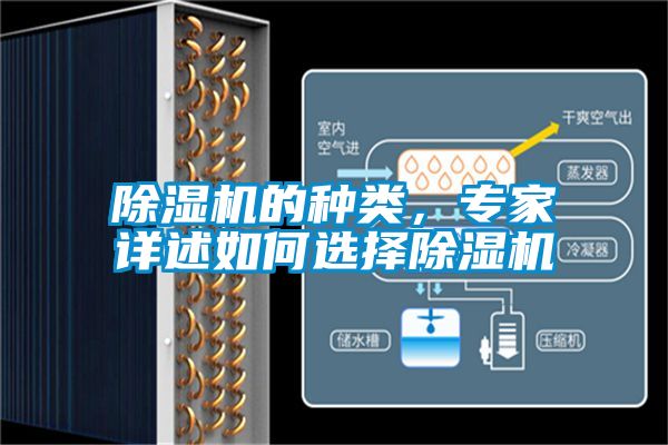 草莓视频APP在线观看的种类，专家详述如何选择草莓视频APP在线观看