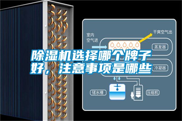 草莓视频APP在线观看选择哪个牌子好，注意事项是哪些