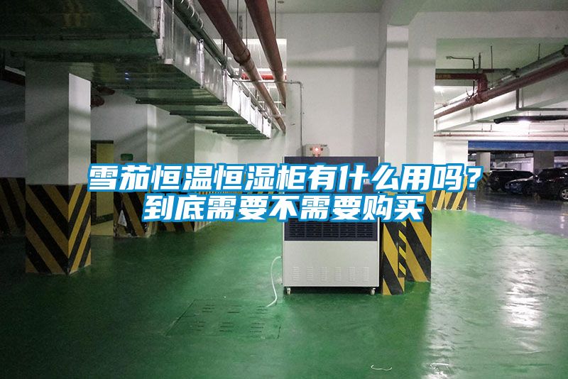 雪茄恒温恒湿柜有什么用吗？到底需要不需要购买