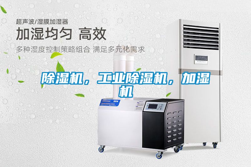 草莓视频APP在线观看，工业草莓视频APP在线观看，加湿机