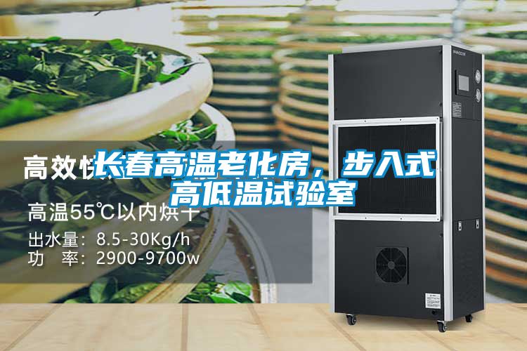 长春高温老化房，步入式高低温试验室