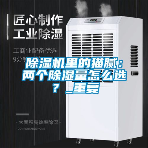 草莓视频APP在线观看里的猫腻：两个除湿量怎么选？_重复
