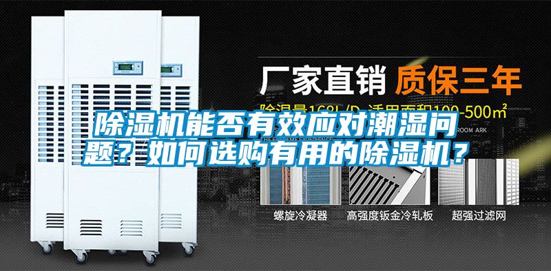 草莓视频APP在线观看能否有效应对潮湿问题？如何选购有用的草莓视频APP在线观看？