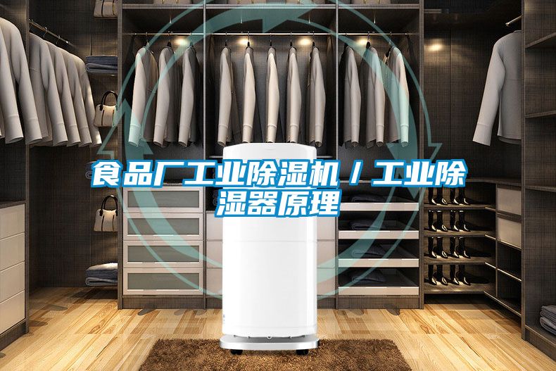 食品厂工业草莓视频APP在线观看／工业除湿器原理